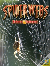 Capa do artigo Spiderwebs