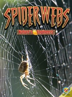 Capa do artigo Spiderwebs