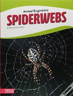Capa do artigo Spiderwebs