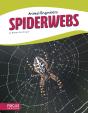 Spiderwebs - Preview