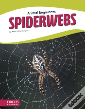 Capa do artigo Spiderwebs