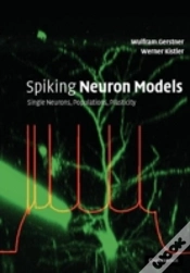 Capa do artigo Spiking Neuron Models