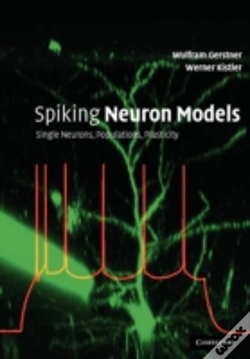 Capa do artigo Spiking Neuron Models