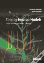 Spiking Neuron Models