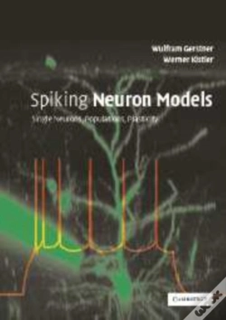 Capa do artigo Spiking Neuron Models