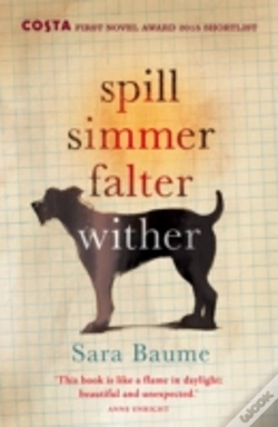 Capa do artigo Spill Simmer Falter Wither