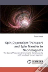 Spin-Dependent Transport And Spin