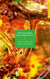 Spin Glasses And Complexity