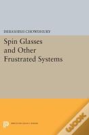 Spin Glasses And Other Frustrated Systems