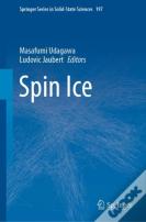 Spin Ice
