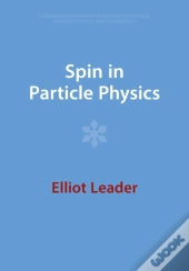 Spin In Particle Physics