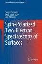 Spin-Polarized Two-Electron Spectroscopy Of Surfaces - Preview
