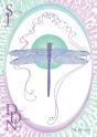 Spinning Jenny And Devil'S Darning Needle - Preview