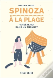 Spinoza À La Plage : Persévérer Dans Un Transat