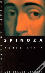 Capa do artigo Spinoza