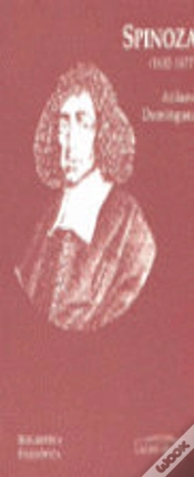 Capa do artigo Spinoza