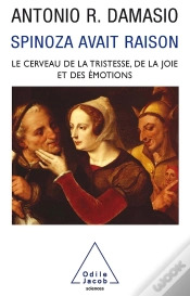 Capa do artigo Spinoza Avait Raison : Joie Et Tristesse, Le Cerveau Des Émotions