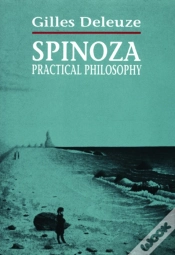 Capa do artigo Spinoza