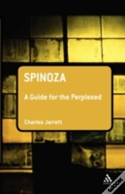 Capa do artigo Spinoza