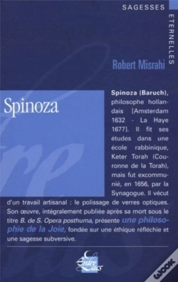 Capa do artigo Spinoza