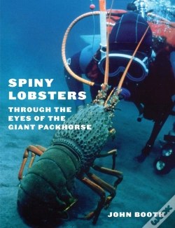 Capa do artigo Spiny Lobsters