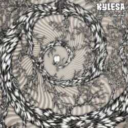 Capa do artigo Spiral Shadow - CD