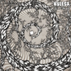Capa do artigo Spiral Shadow - Vinil
