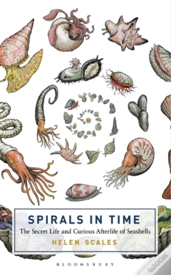 Capa do artigo Spirals In Time