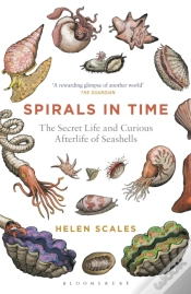 Capa do artigo Spirals In Time