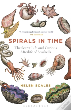 Capa do artigo Spirals In Time