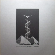 Capa do artigo Spirals / The Ark - Vinil