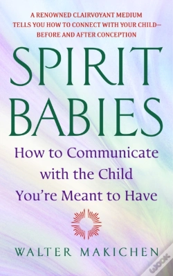 Capa do artigo Spirit Babies