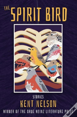 Capa do artigo Spirit Bird