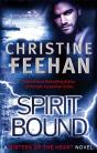 Spirit Bound - Preview