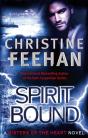 Spirit Bound - Preview