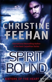 Capa do artigo Spirit Bound