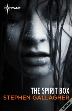 Capa do artigo Spirit Box