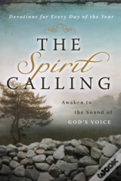 Capa do artigo Spirit Calling