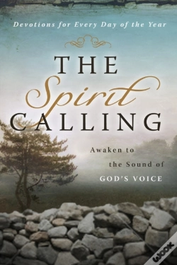 Capa do artigo Spirit Calling