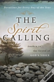 Capa do artigo Spirit Calling