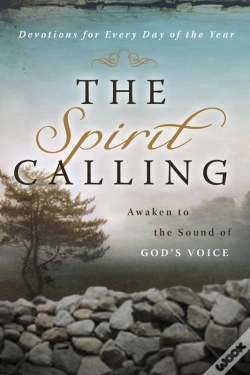 Capa do artigo Spirit Calling