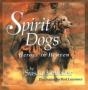 Spirit Dogs - Preview