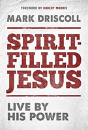 Spirit-Filled Jesus - Preview