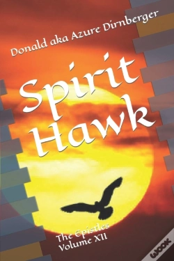 Capa do artigo Spirit Hawk