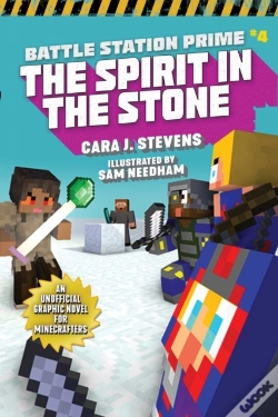 Capa do artigo Spirit In The Stone