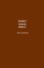 Spirit Infinity Bible (Black Cover) - Preview