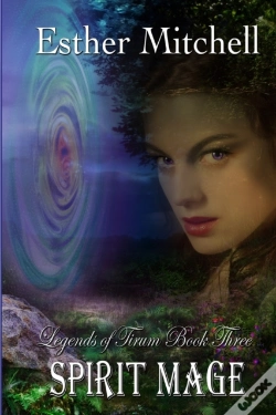 Capa do artigo Spirit Mage