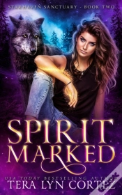 Capa do artigo Spirit Marked