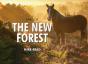 Spirit Of The New Forest - Preview