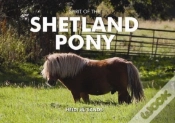 Capa do artigo Spirit Of The Shetland Pony